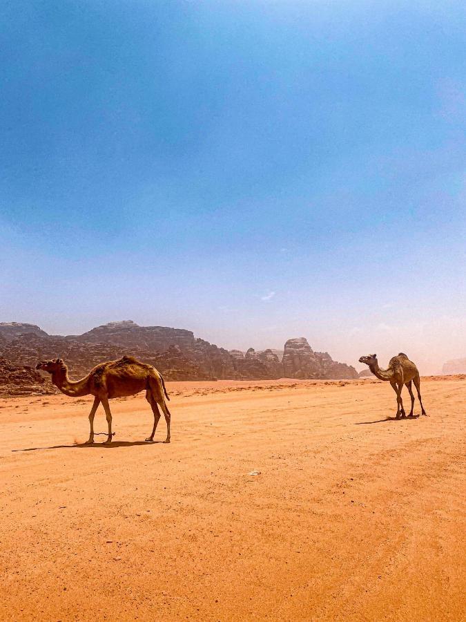 Wadi Rum Polaris Camp Exterior foto